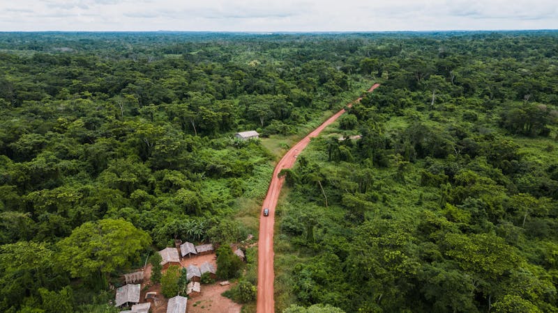 Forêt tropicale du Cameroun, vue aérienne